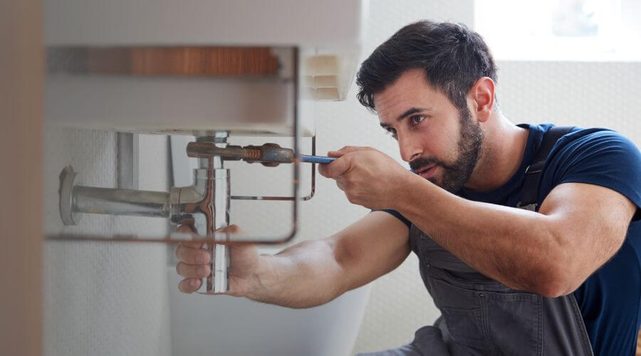 Trap Repair/Replacement in Lake Bluff, IL